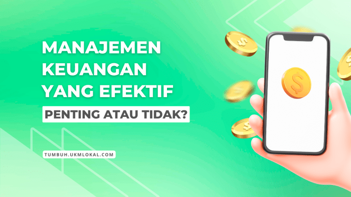 Pentingnya Edukasi Keuangan untuk Pemilik UMKM