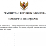 Kelebihan Memiliki Sertifikat NIB bagi Pelaku UMKM