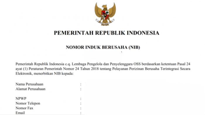 Kelebihan Memiliki Sertifikat NIB bagi Pelaku UMKM