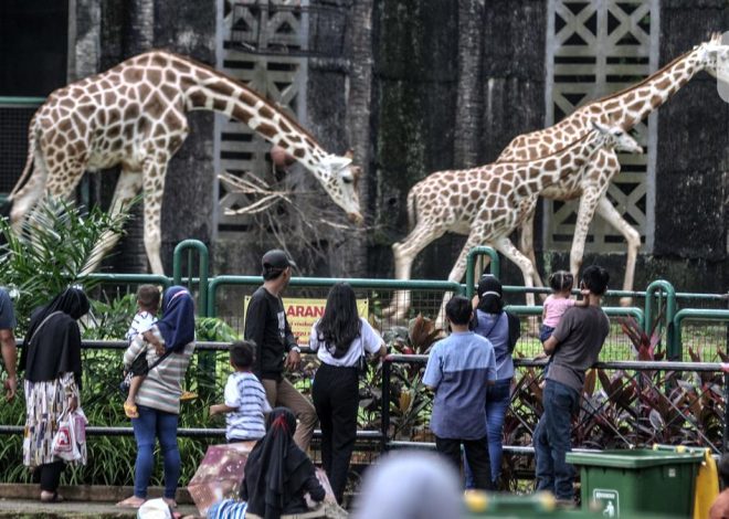 Warga Jakarta Antusias Wisata Malam Ragunan Sebagai Sarana Edukasi dan Hiburan Alternatif