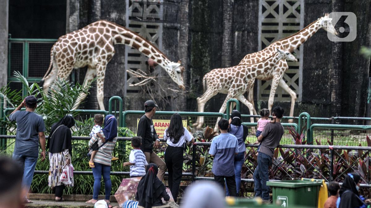 Warga Jakarta Antusias Wisata Malam Ragunan Sebagai Sarana Edukasi dan Hiburan Alternatif