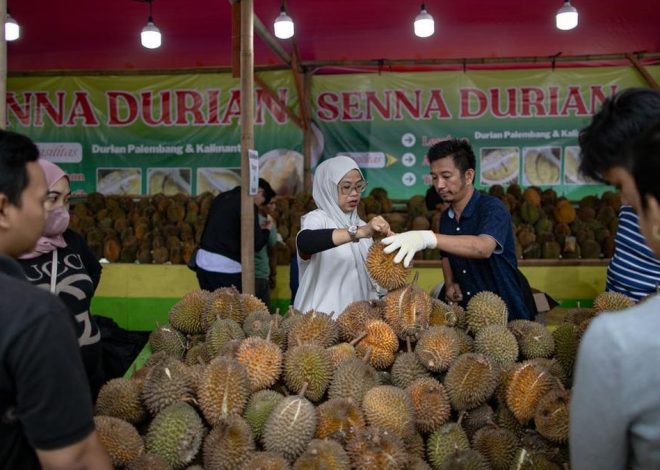 Durian Ilegal Marak di Indonesia, Ancaman bagi Petani Lokal