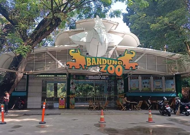 Terdakwa Korupsi Kebun Binatang Bandung Dihukum 7 Tahun Penjara