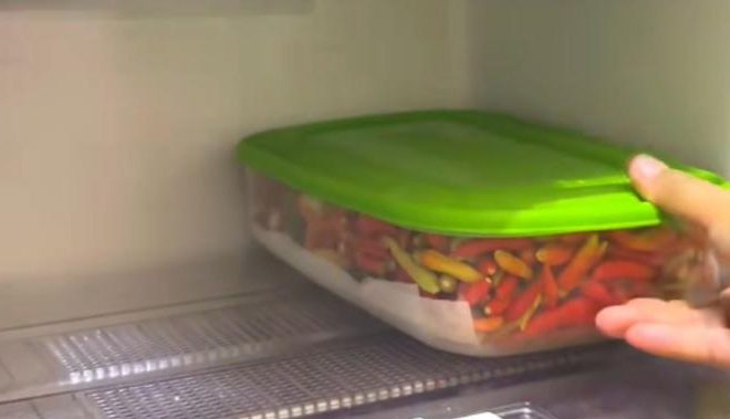 Tips Menyimpan Cabai dalam Kulkas agar Tahan Lama dan Tetap Segar