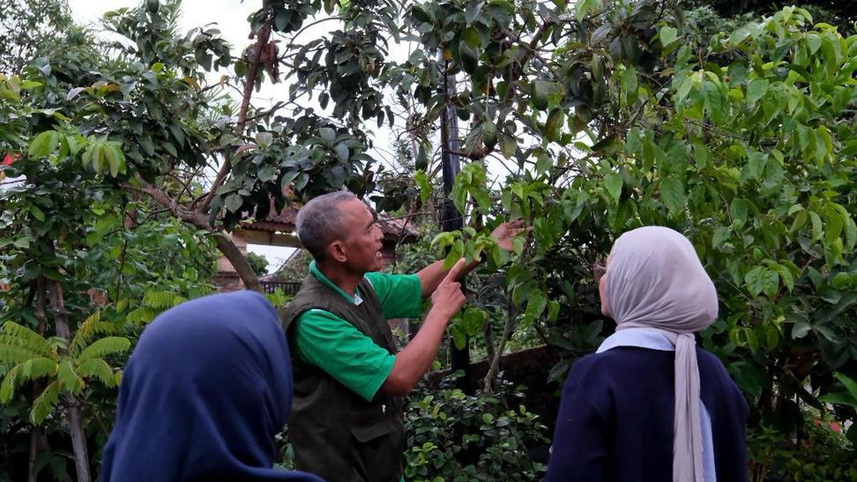 15 Paket Tur Gastronomi Terbaik Kemenpar, Termasuk Wisata Kopi Lokal Danau Toba