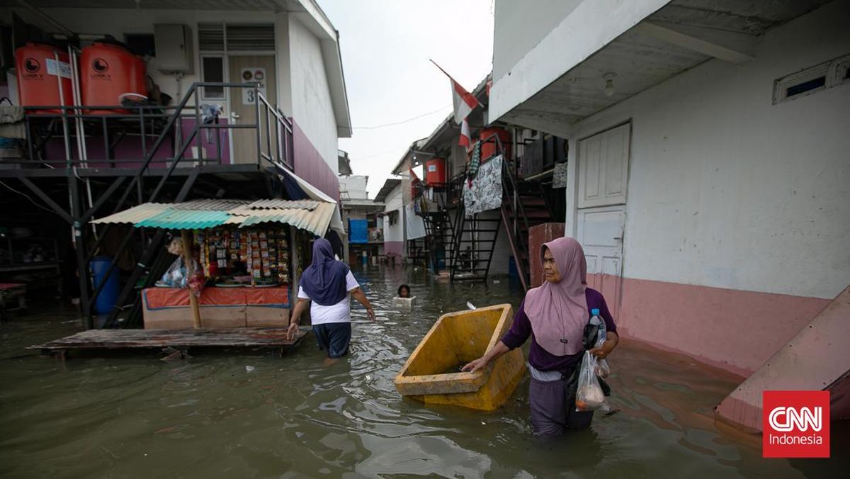 Banjir Rob Menggenangi Wilayah Pesing dan Jelambar Baru Jakarta Barat
