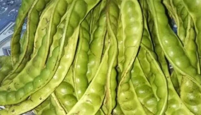 7 Cara Menyimpan Pete Agar Tetap Segar Selama Beberapa Minggu