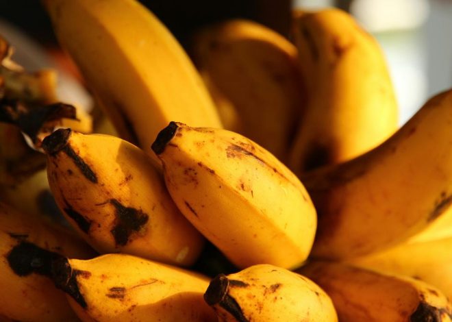 Camilan Keluarga yang Sehat, Enak, dan Mudah Dibuat