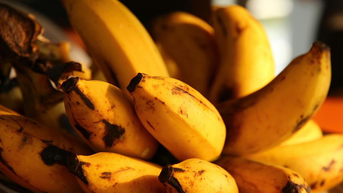 Camilan Keluarga yang Sehat, Enak, dan Mudah Dibuat