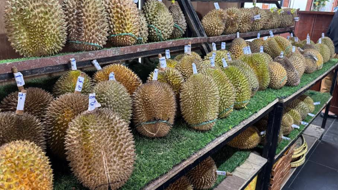 10 Rekomendasi Tempat Makan Durian di Jakarta yang Wajib Dikunjungi