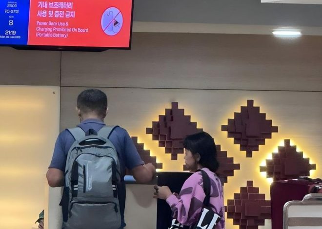 WN Korea Selatan Dideportasi dari Bali Setelah Menghapus Garis Satpol PP