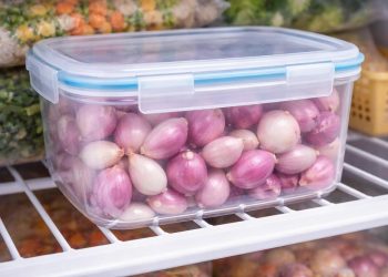 Panduan Menyimpan Bawang Kupas Secara Efisien agar Tetap Segar dan Bebas Berlendir